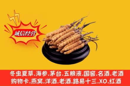 阳新县求购回收虫草多少钱每克